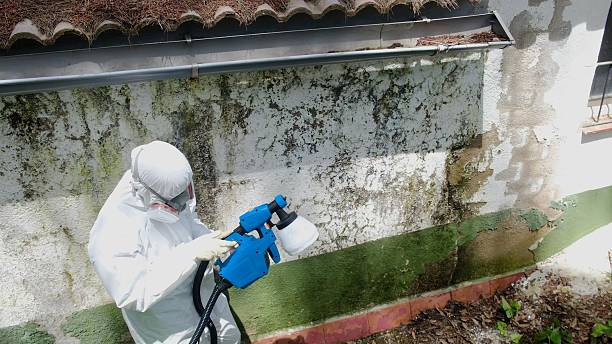 Top rated local Crawl Space Mold Remediation specialists in LaFayette, GA